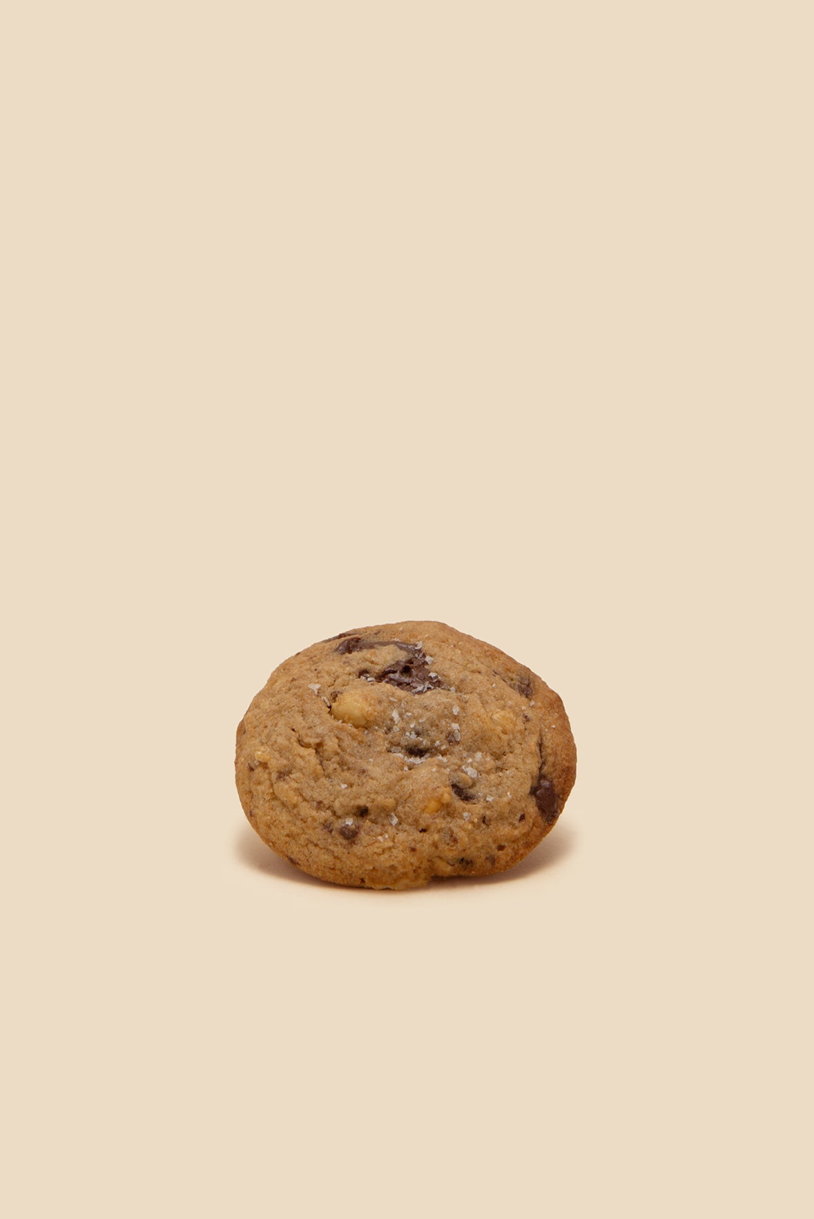 CHOCOLATE CHIP HAZELNUT COOKIE