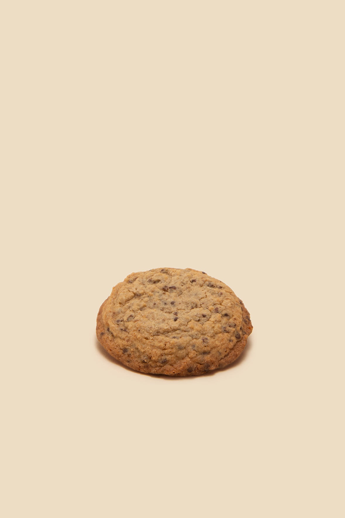 CHOCOLATE CHIP COOKIE HELL